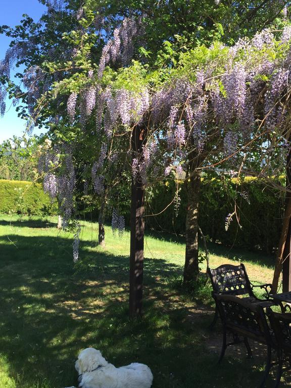 Alojamiento En Entorno Rural Los Trobos Villar de Otero Bagian luar foto