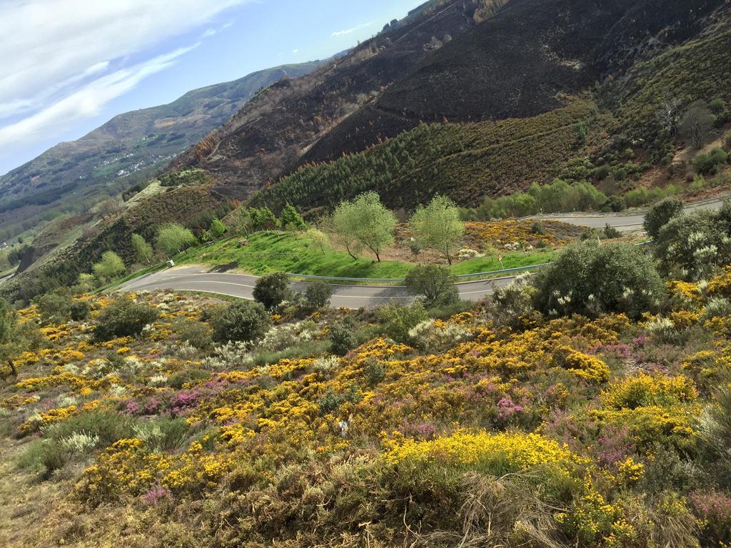 Alojamiento En Entorno Rural Los Trobos Villar de Otero Bagian luar foto
